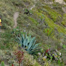 The trail into the gorge southwest of Cerro Churro Lomo